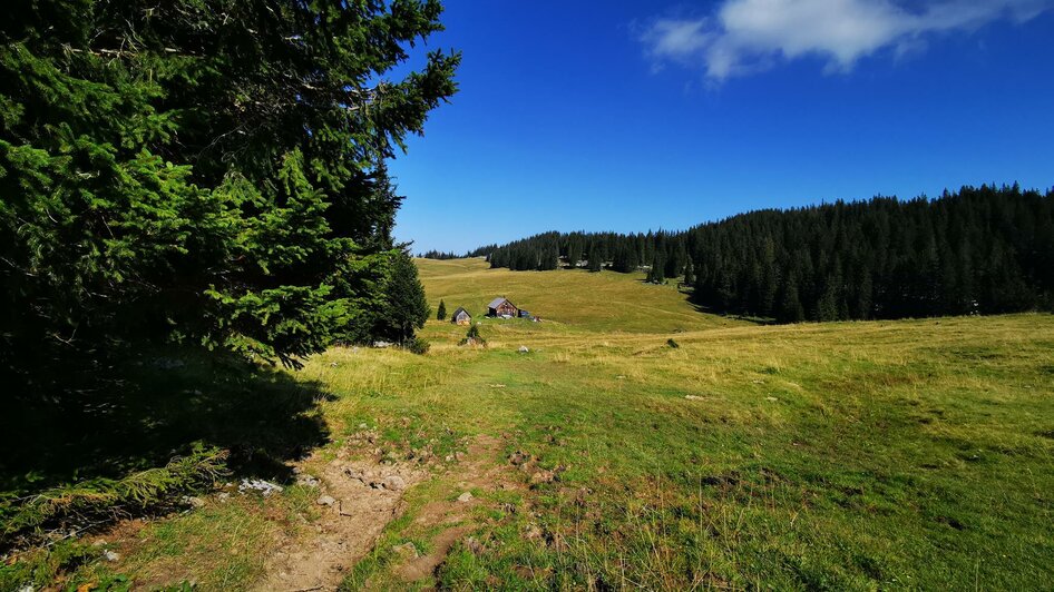 Die Herrenbodenalm | © TV Hochsteiermark / Brigitte Digruber