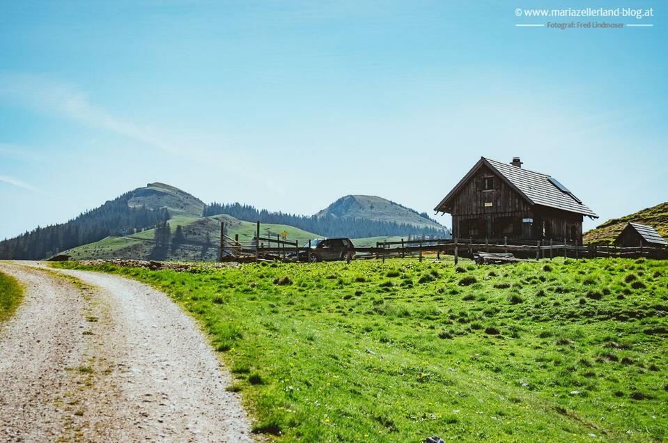 Sennhütte auf dem Dürriegel - Impression #1 | © www.mariazell.blog / Fred Lindmoser