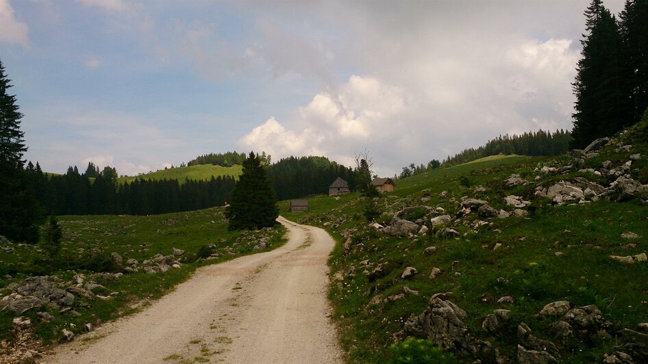 Die Feldwiesalm | © TV Hochsteiermark / Brigitte Digruber