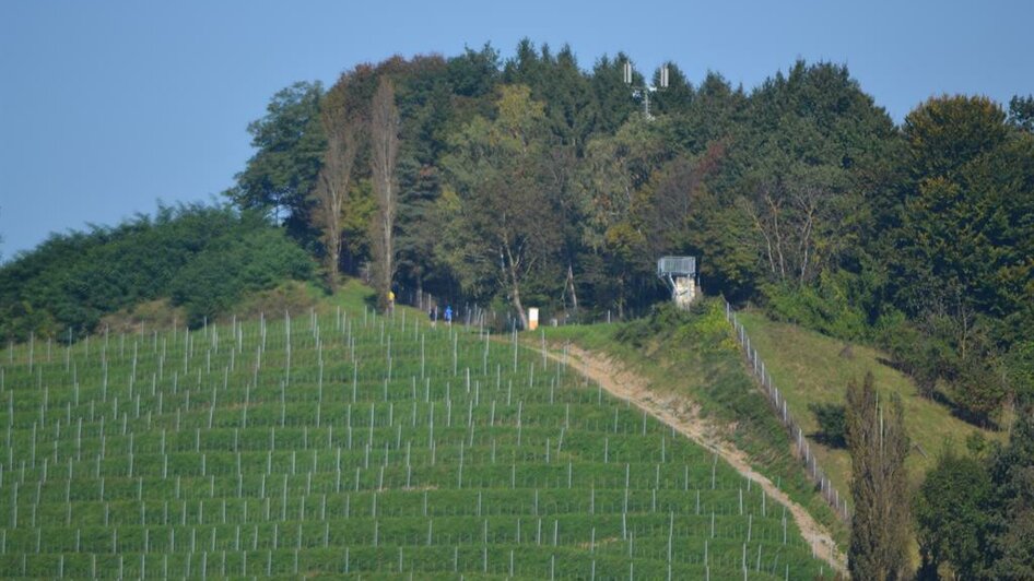 Warte aus der Entfernung | © Silberbergwarte