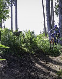 Brandwaldsteig-Singletrail1-Murtal-Steiermark | Erlebnisregion Murtal | © Erlebnisregion Murtal