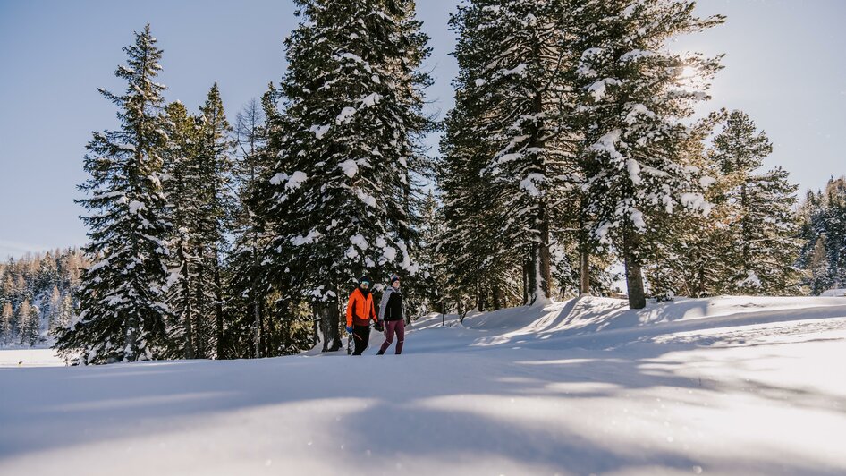 Winterwandern Turracher Höhe