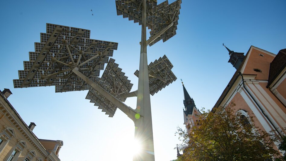 Solarbaum_Hauptplatz_Oststeiermark | © Stadtgemeinde Gleisdorf_Tourismusverband Oststeiermark