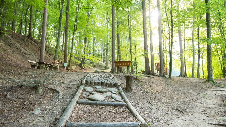 NaturKRAFTPark_Pöllau_Oststeiermark | © Helmut Schweighofer