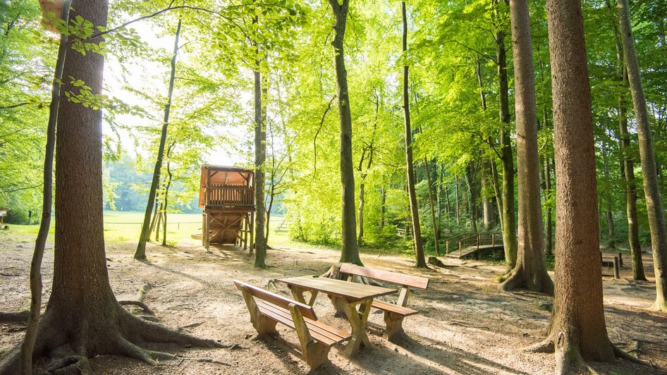 Bank Spielplatz Hinterbrühl_Pöllau_Oststeiermark | © Helmut Schweighofer