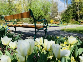 City Park_bench_Eastern Styria | © Stadtgemeinde Gleisdorf_Tourismusverband Oststeiermark