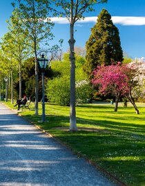 Stadtpark | © Graz Tourismus - Harry Schiffer | © Graz Tourismus - Harry Schiffer