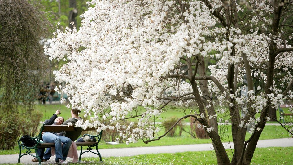 Stadtpark | © Graz Tourismus - Harry Schiffer