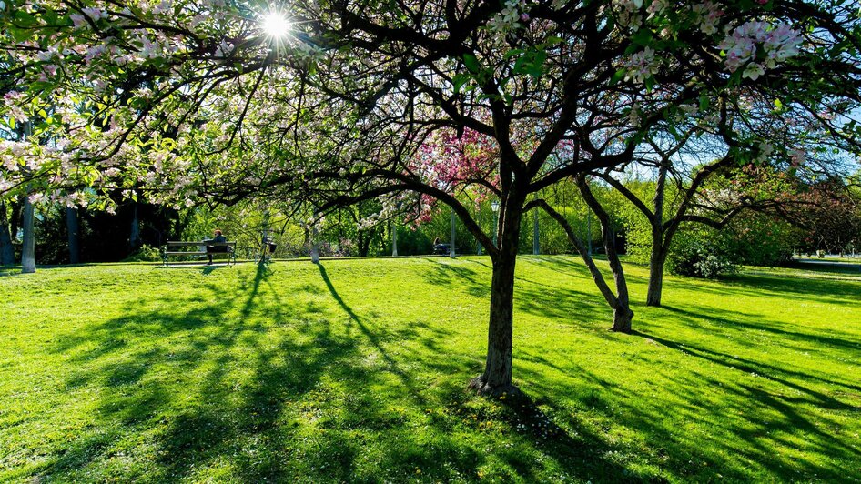 Stadtpark | © Graz Tourismus - Harry Schiffer