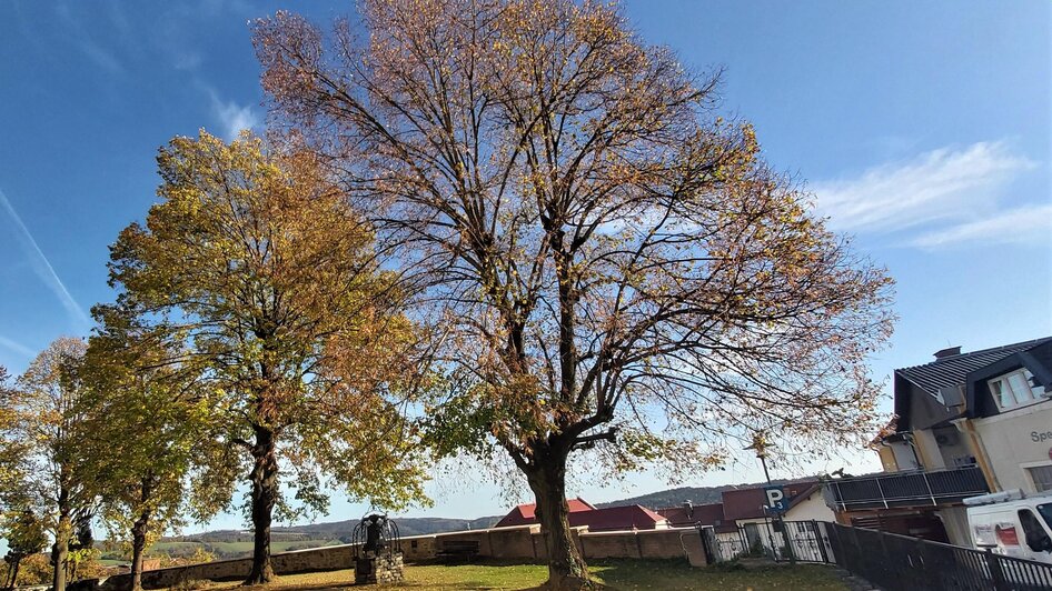 Garten der Stadtpfarrkirche Friedberg | Pollhammer | © Oststeiermark Tourismus Garten der Stadtpfarrkirche Friedberg | © Oststeiermark Tourismus