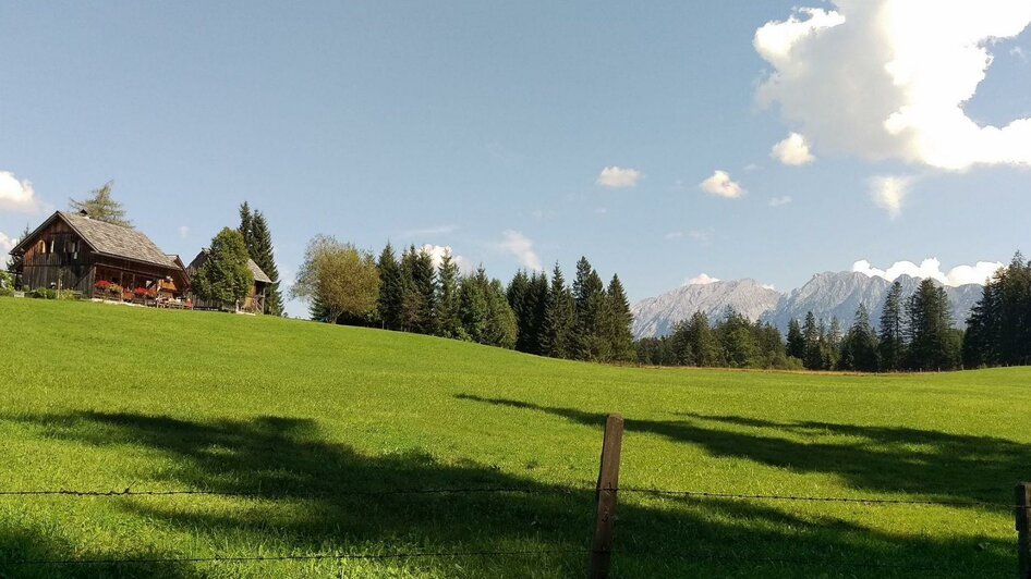 Steinitzenalm Wiese | © Christina Arzberger