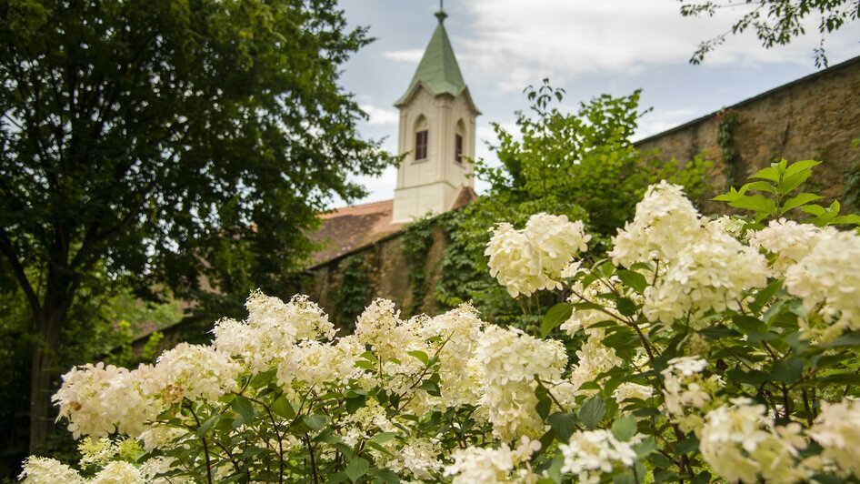 Steirische Blumenstraße_Hartberg_Oststeiermark | © Stadtgemeinde Hartberg