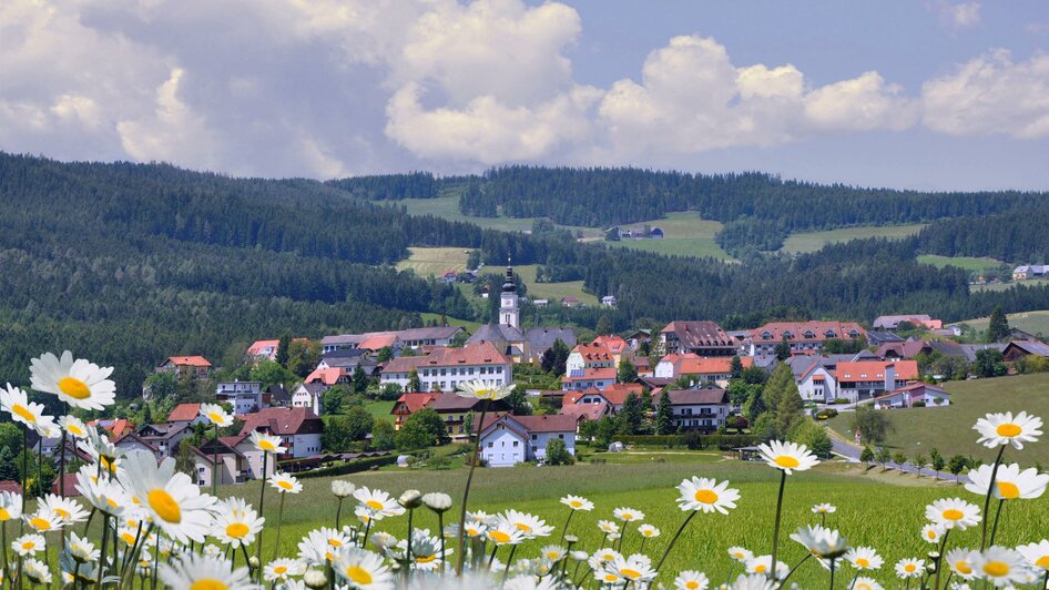 Steirische Blumenstraße_Wenigzell_Oststeiermark | © Gemeinde Wenigzell