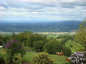 Panoramaschenke Tertinek Aussicht | © Panoramaschenke Tertinek