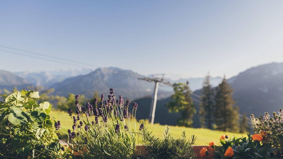 Stellenkogelhütte, Altaussee, Panoramabahn | © Krewenka