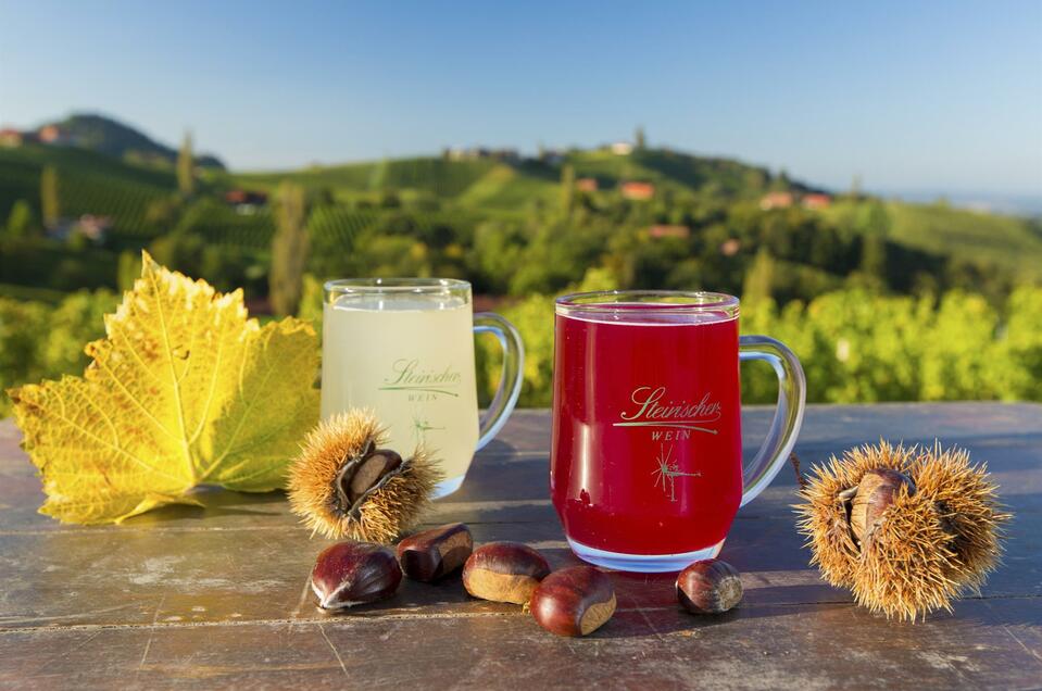 Sturm & Kastanien Stand Weingut Buschenschank Hofmann - Impression #1 | © Harry Schiffer