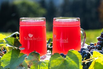 Sturm | ©  Schilcherland Steiermark - Foto Augenblick