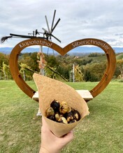 Kastanien vor dem Fotopoint am Klapotetzhof | © Klapotetzhof
