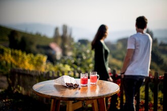 Kastanien und Sturm mit Aussicht | © TV Südsteiermark - Tom Lamm