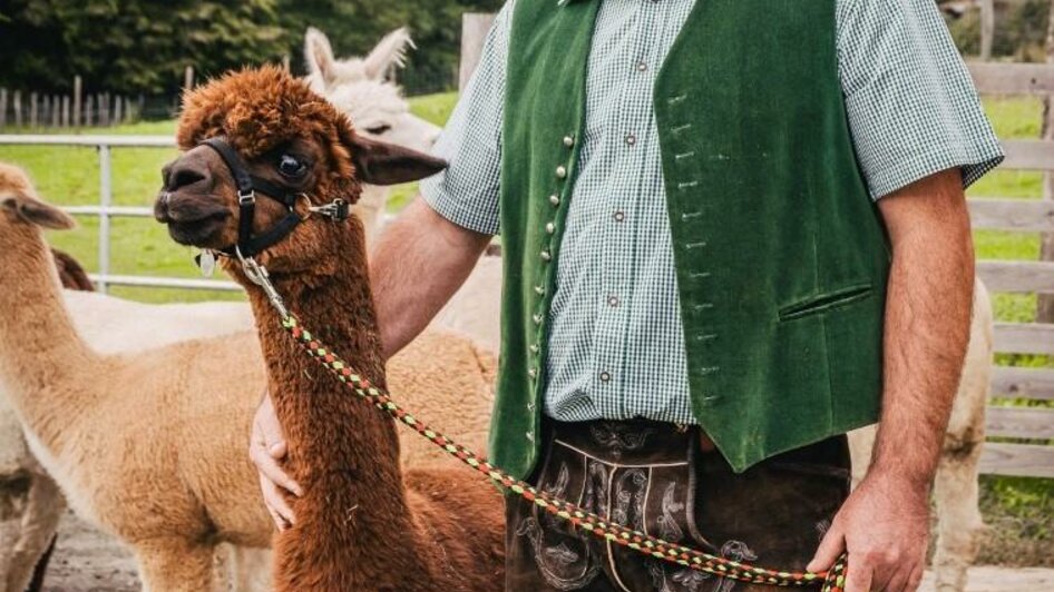 Besitzer mit braunem Alpaka | © Regionalmanagement Südweststeiermark GmbH/webquartier