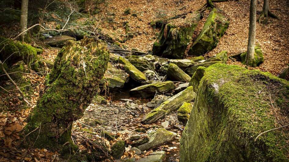 Wald Sulmwasserfall | © Sulmwasserfall