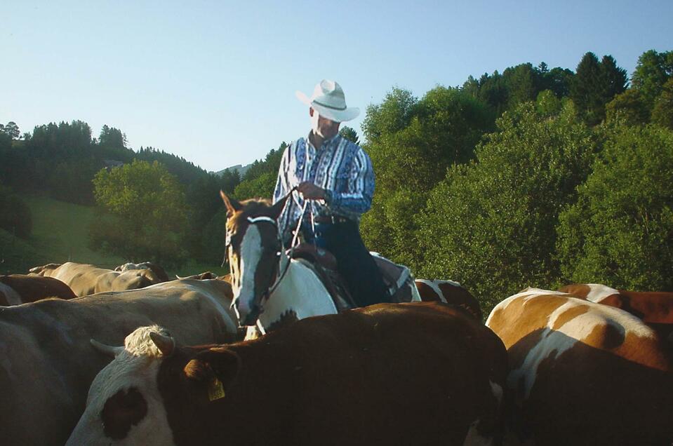 Sunhill Ranch - Riding Stable - Impression #1 | © Sunhill Ranch Windisch