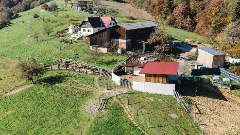 Tatanka Bisonzucht_Hof von oben | © Familie Pucher