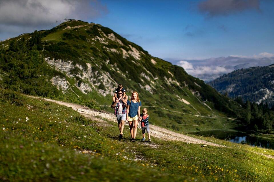 Tauplitzalm - Schneiderkogel - Impression #1 | © TVB Ausseerland Salzkammergut/T. Lamm