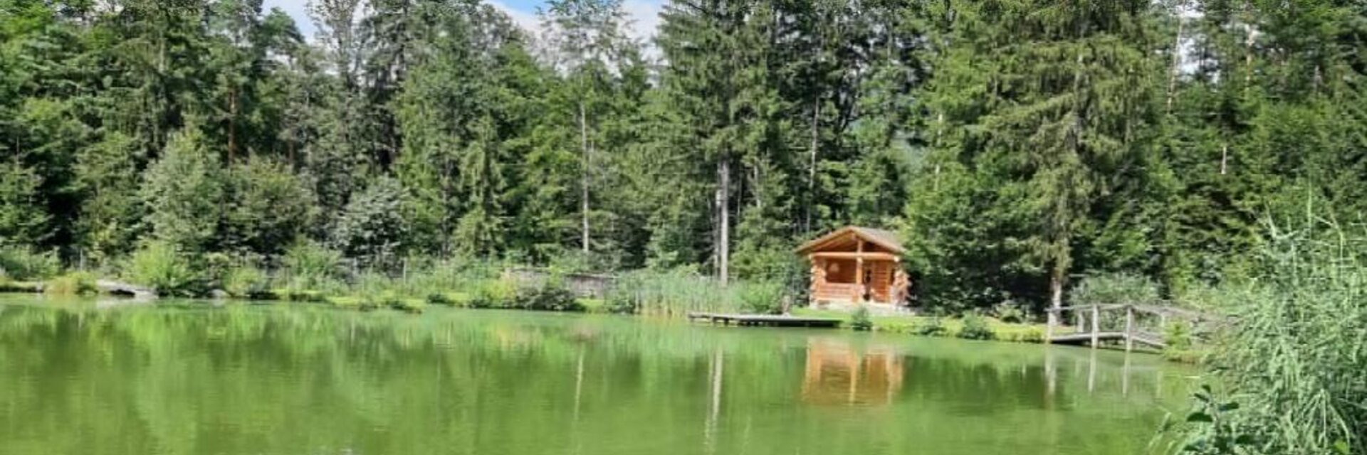 Pond in the fairytale forest - Impression #1 | © Tourismusverband Oststeiermark