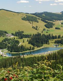 Teichalm lake_Panorama_Eastern Styria | © Tourismusverband Oststeiermark | Franz Berghofer | © Tourismusverband Oststeiermark