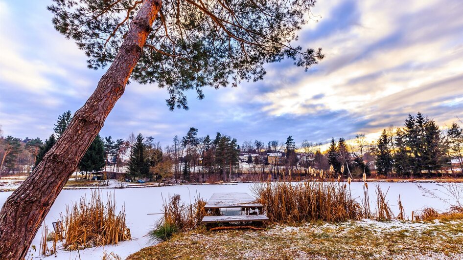 Der Teichpark im Winter | © Schilcherland Steiermark