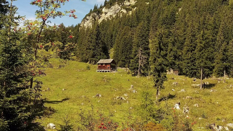 Teltschenalm | © Christina Arzberger