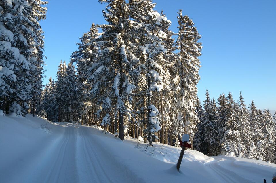 Teufelstein Cross-country skiing trail in Fischbach - Impression #1 | © Hans Zink