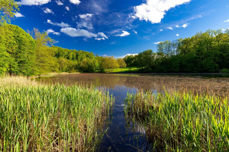 Thalersee - Impression #1 | © Harry Schiffer