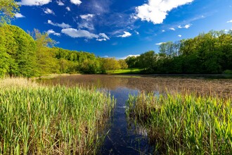 Thalersee_1 | © Harry Schiffer