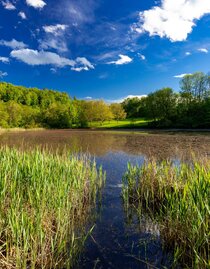 Thalersee_1 | © Harry Schiffer | HARRY SCHIFFER PHOTODESIGN | © Harry Schiffer