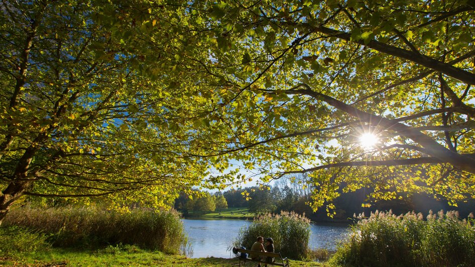 Thalersee_3 | © Harry Schiffer