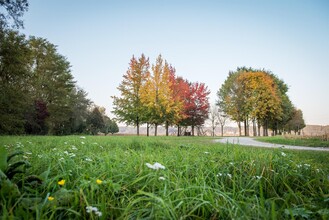 Thermenpark Bad Blumau | © Kurkommission Bad Blumau