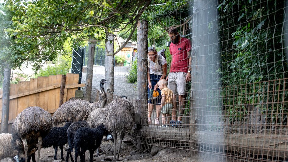 Familie beim Staunen | © TV Murau, Tom Lamm