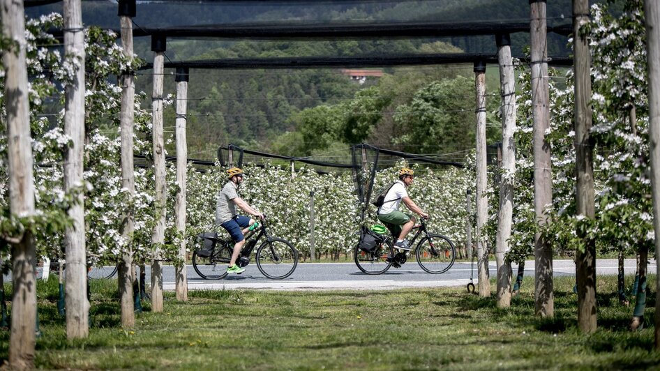 ApfelLand_Radfahren_Oststeiermark | © Steiermark Tourismus/ Ikarus