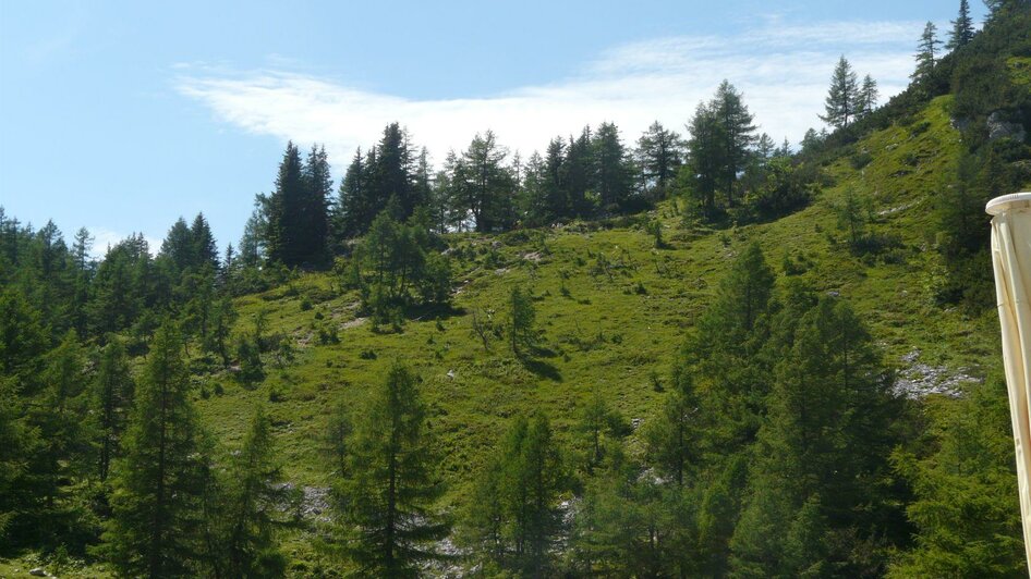 Trawenghütte, Blick zum Steirerseebankerl,Tauplitz | © TVB Ausseerland Salzkammergut/S. Zink