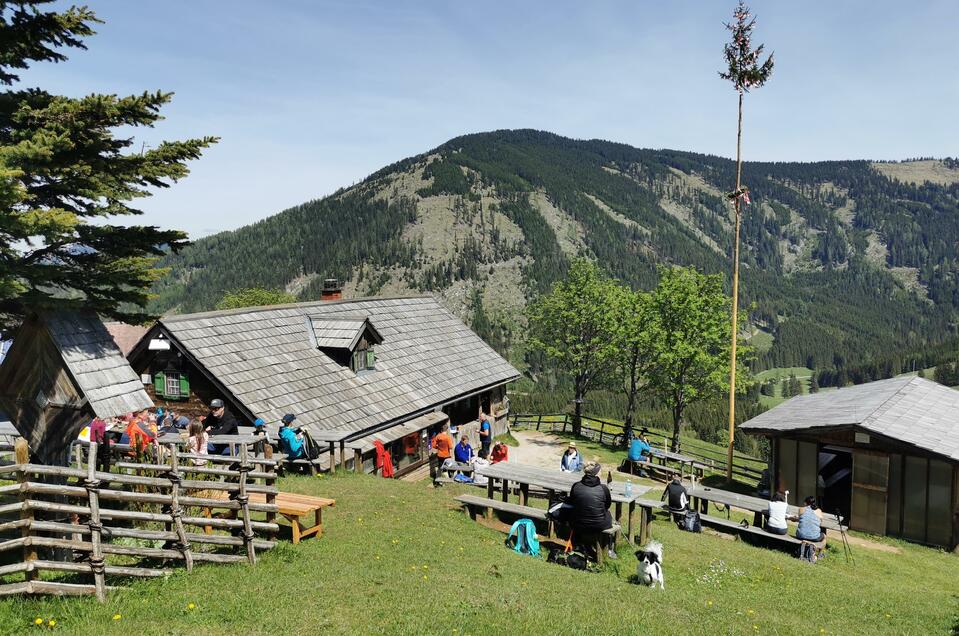 Tyrnauer Alm Hut - Impression #1 | © Tourismusverband Oststeiermark