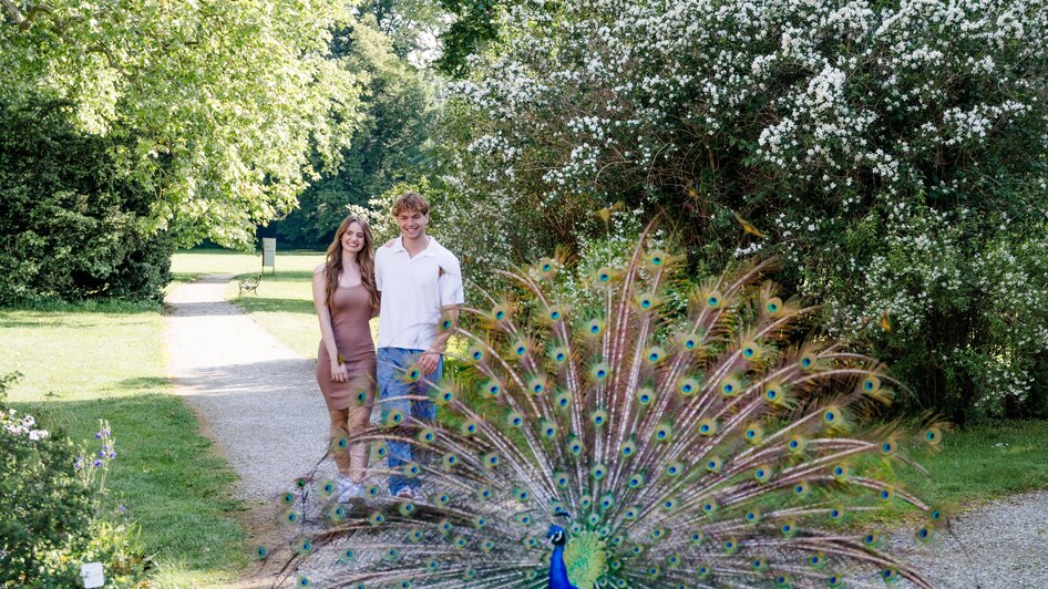 Pfau im Schlosspark | © Graz Tourismus-Mias Photoart