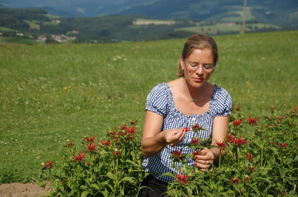 Veronikas herbfarm - Impression #1 | © Veronikas Kräuterhof