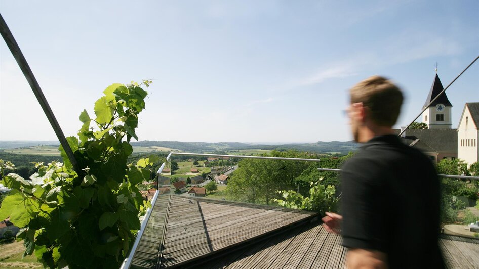 Styria Wine Cellar in St. Anna/A. - Impression #2.2