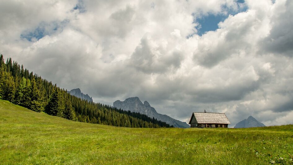 Auf der Wangenbänkalm | © Christian Scheucher