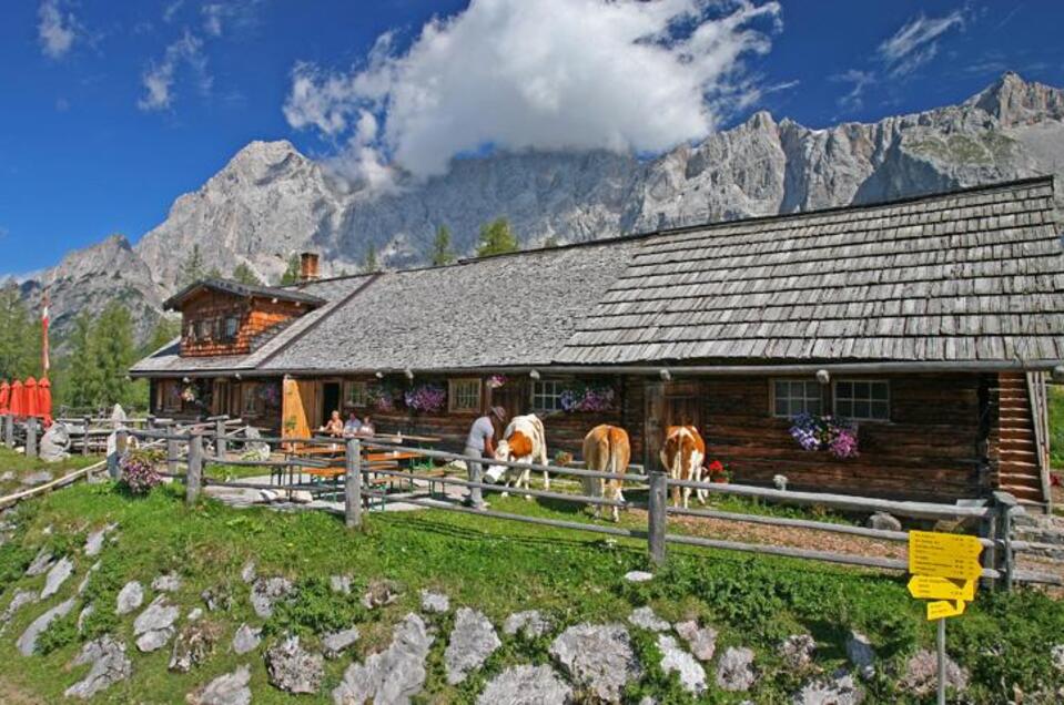 Sommer Walcheralm | © Raffalt Walcheralm - Impression #1 | © Raffalt