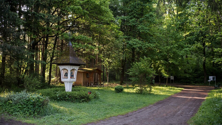 Waldlehrpfad-Station6-Murtal-Steiermark | © Anita Fössl