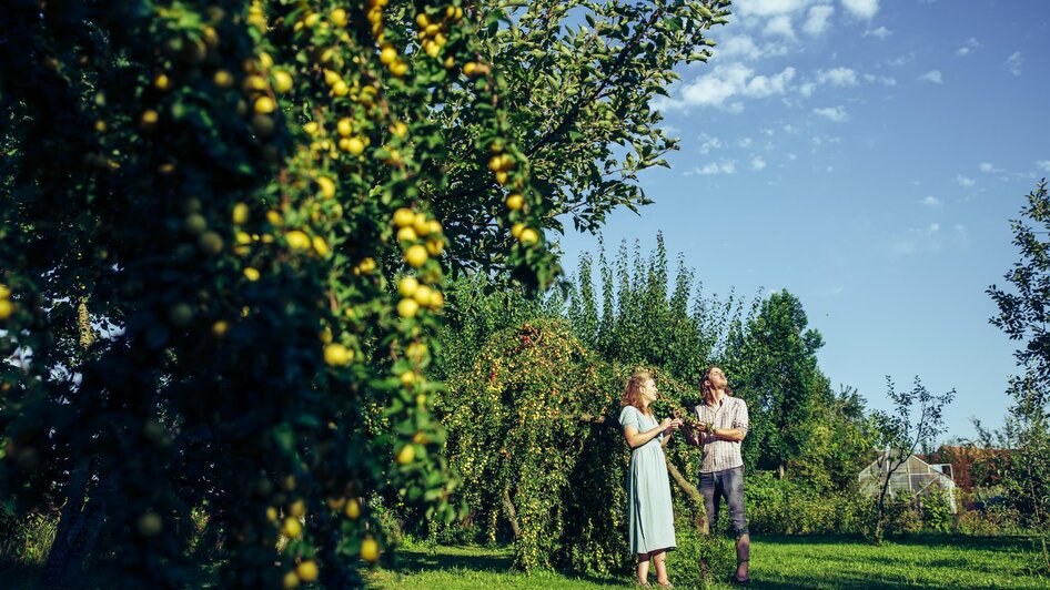 Obst aus nachhaltigem Eigenanbau | Bernhard Bergmann | © Walhalla Genusskulisse Obst aus nachhaltigem Eigenanbau | © Walhalla Genusskulisse