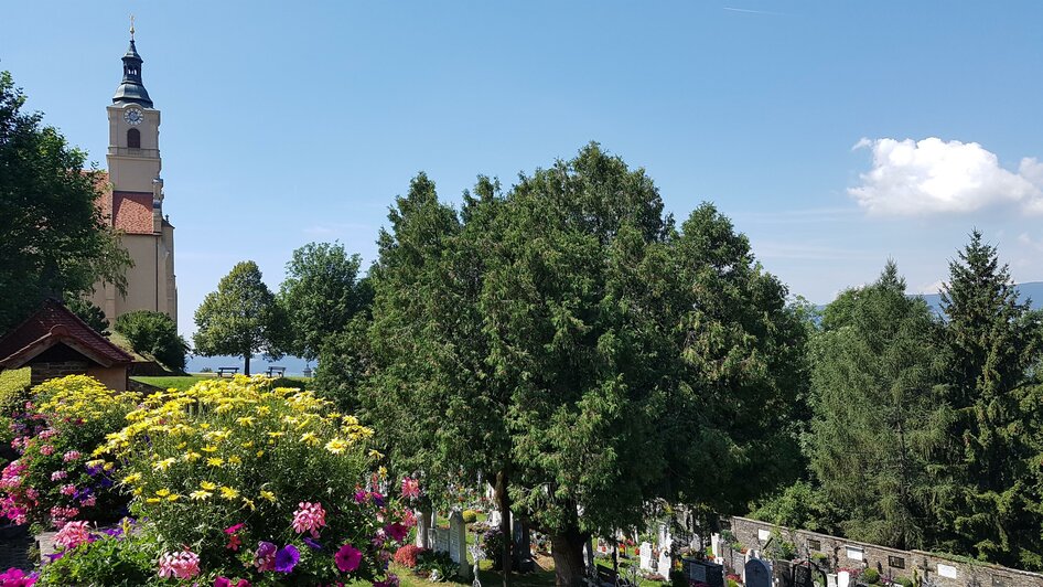 Wallfahrtskirche Pb_Friedhof_Oststeiermark | © Christine Schwetz